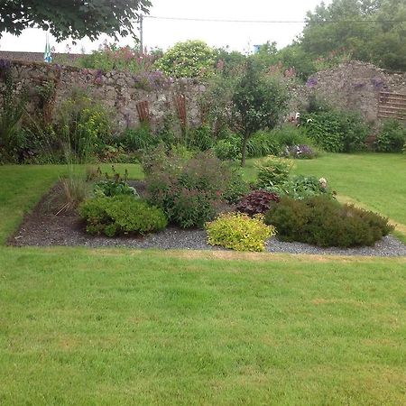 Clochard Bed & Breakfast Galway Exterior foto